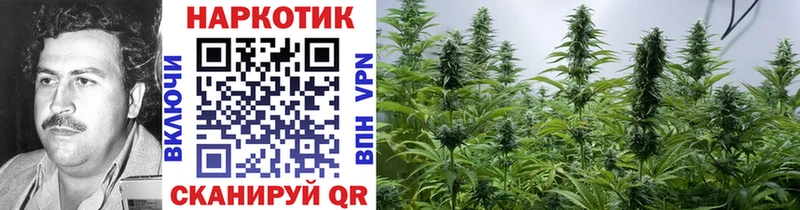 Купить наркотик Данилов МАРИХУАНА Alpha-PVP Мефедрон Кокаин
